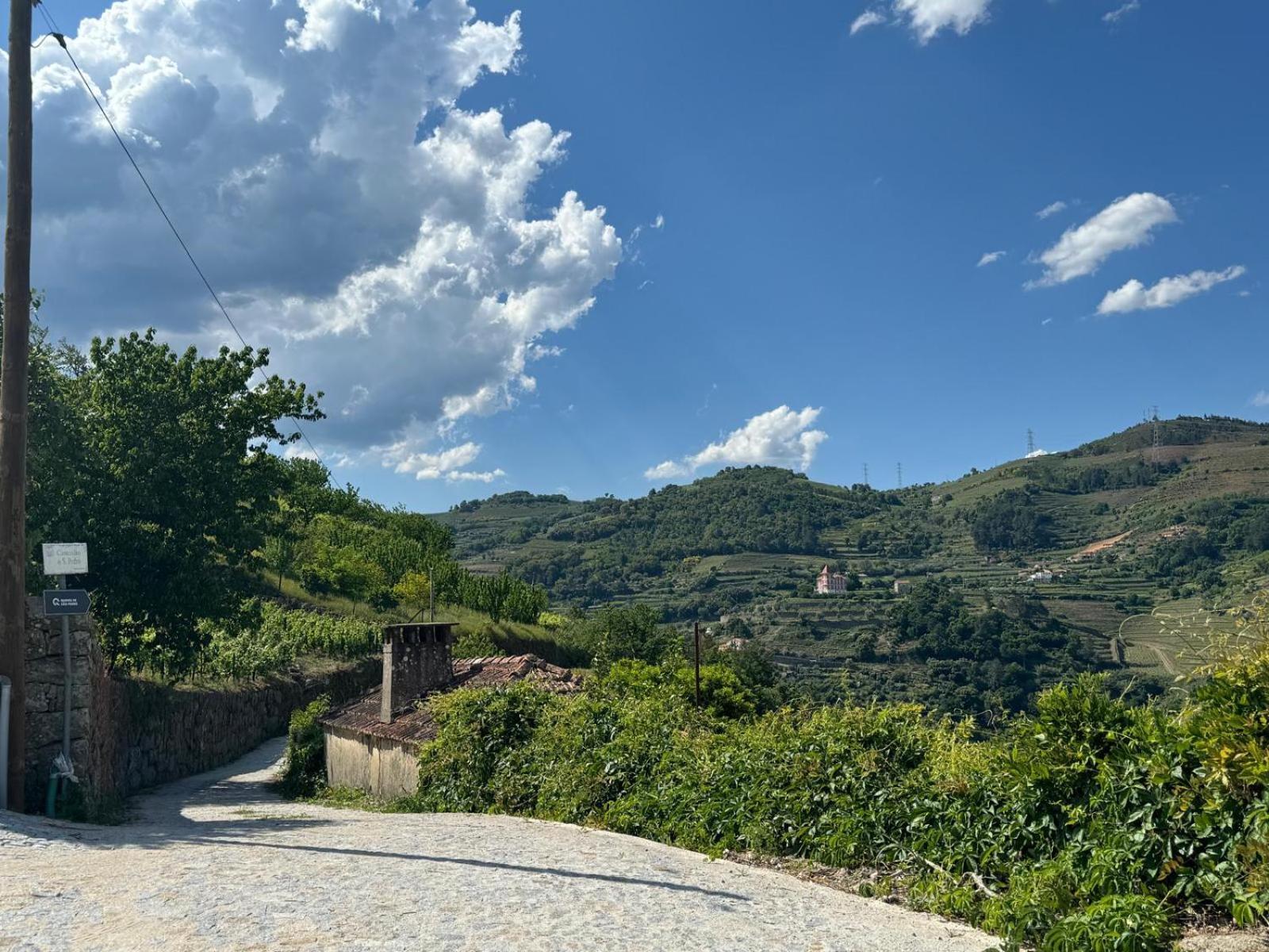 Maison d'hôtes Quinta De Sao Pedro à Barro  Extérieur photo